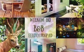 B&B Eekhoornpad